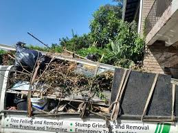 Demolition Debris Removal in Sells, AZ