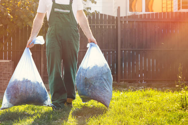 Best Recycling Services for Junk  in Sells, AZ